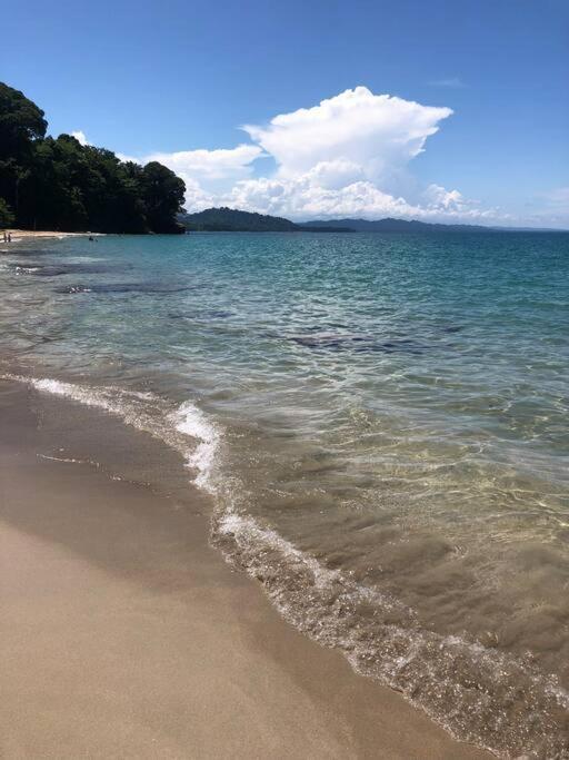 Villa Joeyshe- New Luxury Villa With Pool & Ac Puerto Viejo de Talamanca 外观 照片