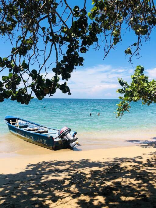 Villa Joeyshe- New Luxury Villa With Pool & Ac Puerto Viejo de Talamanca 外观 照片