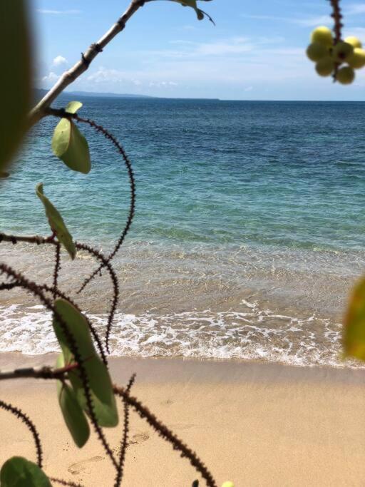 Villa Joeyshe- New Luxury Villa With Pool & Ac Puerto Viejo de Talamanca 外观 照片