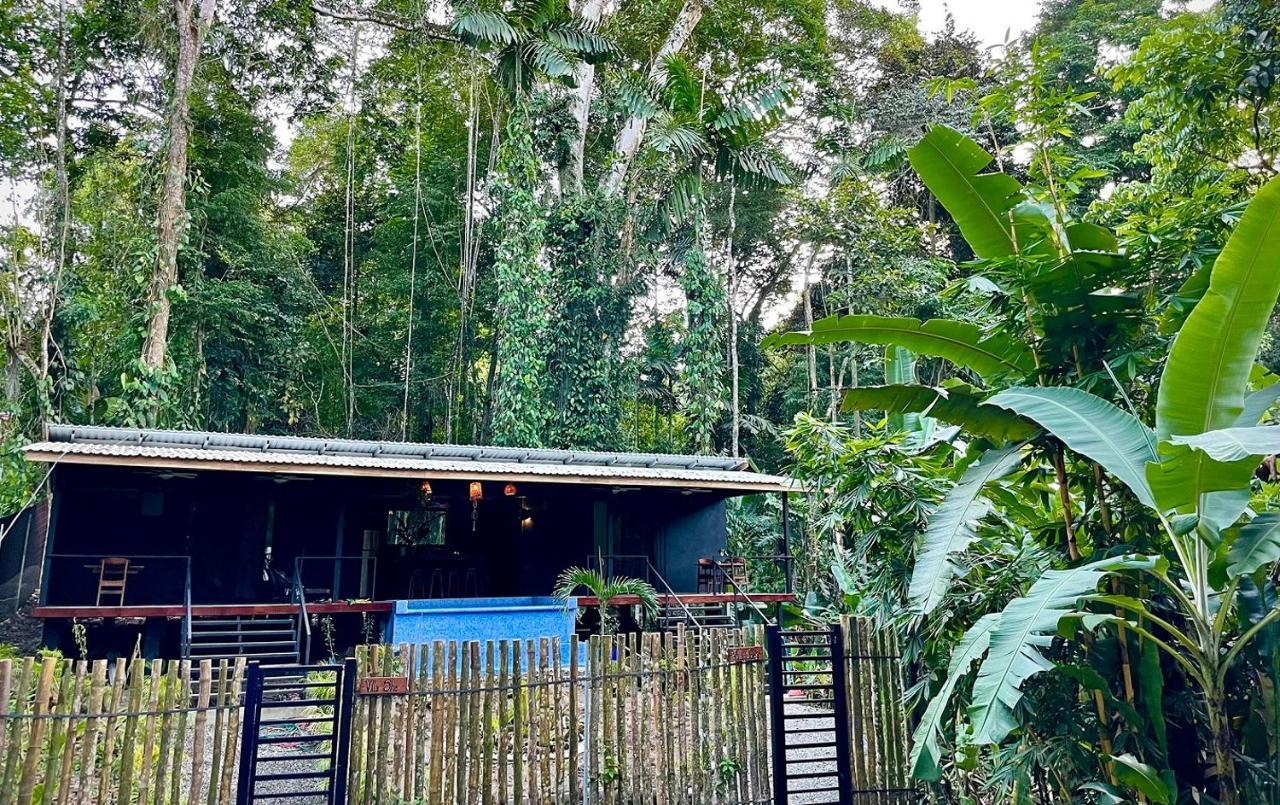 Villa Joeyshe- New Luxury Villa With Pool & Ac Puerto Viejo de Talamanca 外观 照片