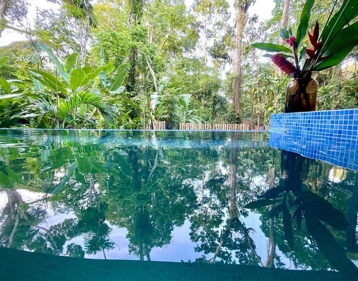 Villa Joeyshe- New Luxury Villa With Pool & Ac Puerto Viejo de Talamanca 外观 照片