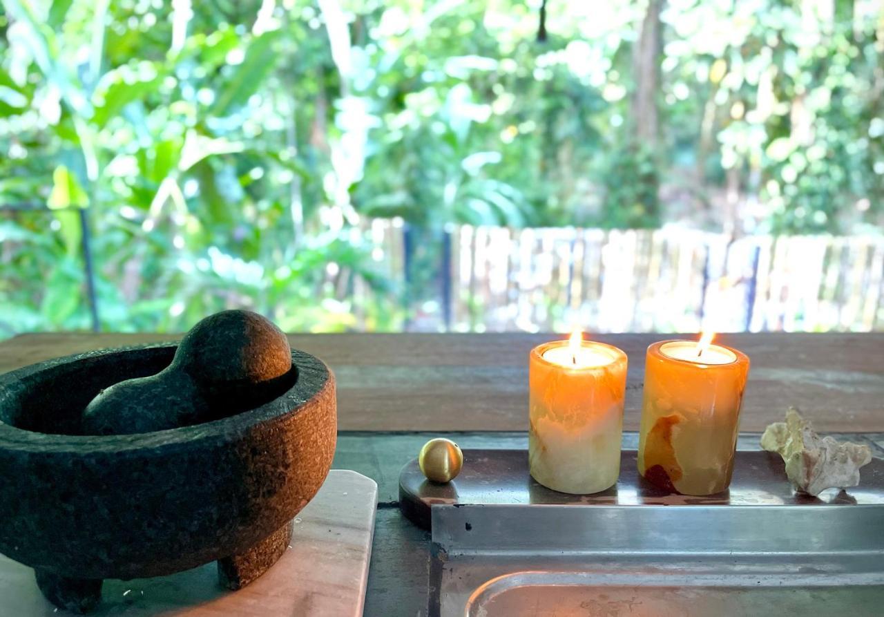Villa Joeyshe- New Luxury Villa With Pool & Ac Puerto Viejo de Talamanca 外观 照片