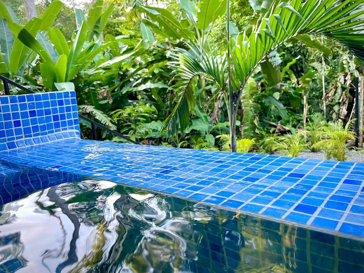Villa Joeyshe- New Luxury Villa With Pool & Ac Puerto Viejo de Talamanca 外观 照片