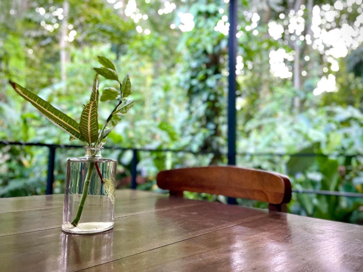 Villa Joeyshe- New Luxury Villa With Pool & Ac Puerto Viejo de Talamanca 外观 照片