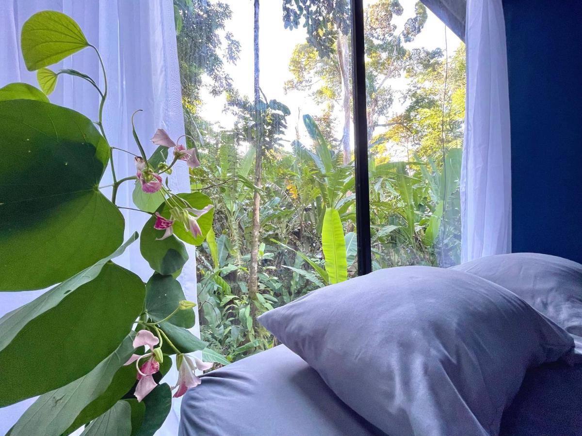 Villa Joeyshe- New Luxury Villa With Pool & Ac Puerto Viejo de Talamanca 外观 照片