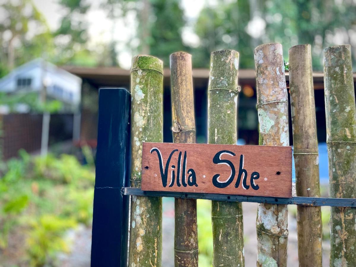 Villa Joeyshe- New Luxury Villa With Pool & Ac Puerto Viejo de Talamanca 外观 照片